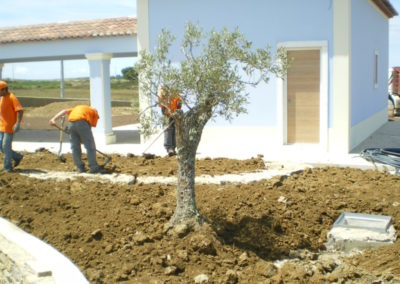 plantifica (71)