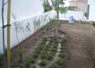 plantifica (76)